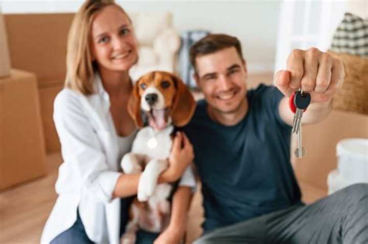 A Comprehensive Guide To Renting With Pets